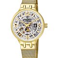 Часы Festina Automatic F20580/1