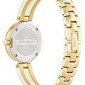 Часы Salvatore Ferragamo FAT060017 фото 4