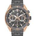 Часы Beverly Hills Polo Club Quartz BP3599X.450