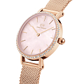 Часы Daniel Wellington Petite DW00100663 фото 2