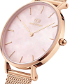 Часы Daniel Wellington Petite Melrose Pearl DW00100513 фото 2