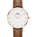 Часы Daniel Wellington Petite Durham DW00100172