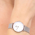 Часы Daniel Wellington Petite Lumine Pressed Sterling DW00100602 фото 5