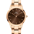 Часы Daniel Wellington Iconic Link Amber DW00100462