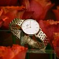 Часы Daniel Wellington Petite 5-Link Evergold DW00100614 фото 9