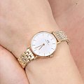 Часы Daniel Wellington Petite 5-Link Evergold DW00100614 фото 10