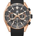 Часы Beverly Hills Polo Club BP3730X.461