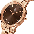 Часы Daniel Wellington Iconic Link Amber DW00100462 фото 2