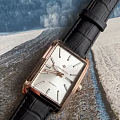 Часы Greenwich Caravel GW 564.41.13 фото 4