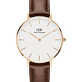 Часы Daniel Wellington Petite Mawes DW00100175